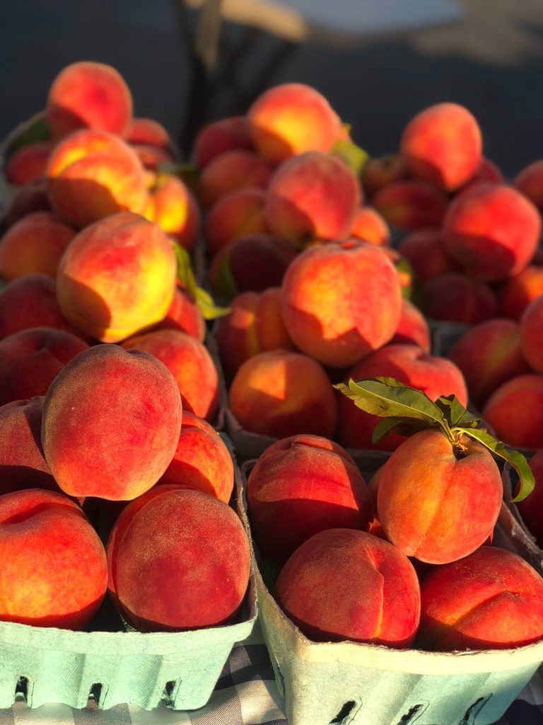 Quarts of beautiful Bennett Peaches ready to be sold at market. 